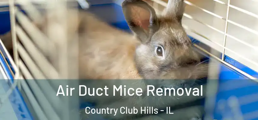  Air Duct Mice Removal Country Club Hills - IL