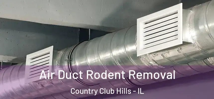  Air Duct Rodent Removal Country Club Hills - IL