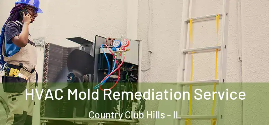  HVAC Mold Remediation Service Country Club Hills - IL