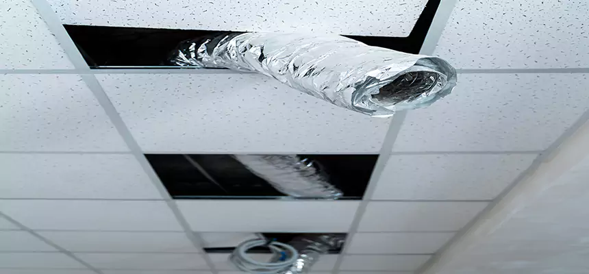 Our Air Duct Pet Hair Removal Services in Country Club Hills, IL