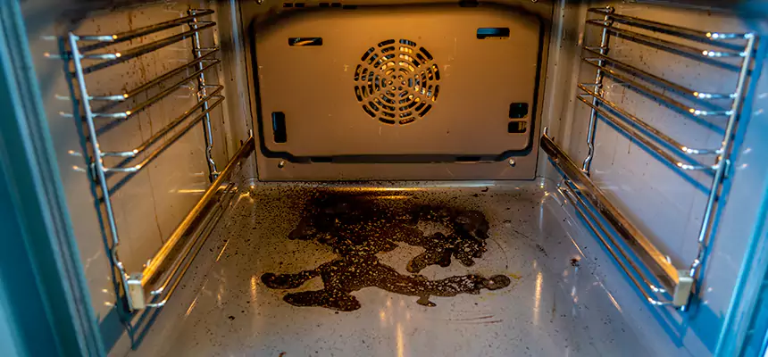 Our Dryer Vent Mold Cleaning Services in Country Club Hills, IL