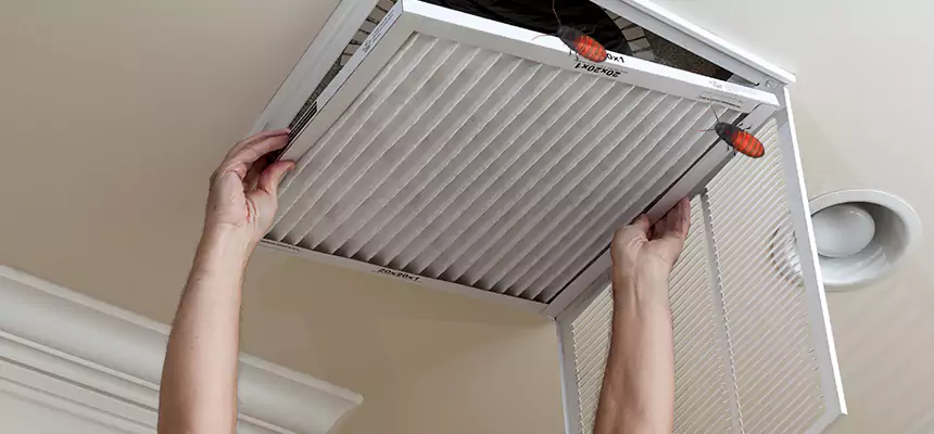 Our Insect Removal from Air Ducts Services in Country Club Hills, IL