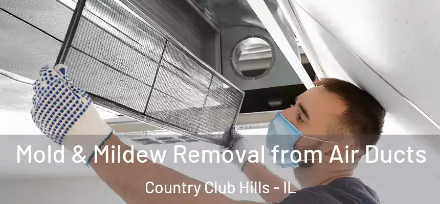  Mold & Mildew Removal from Air Ducts Country Club Hills - IL