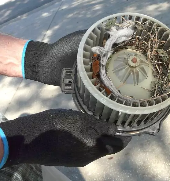 About Air Duct Rat Removal in Country Club Hills, IL