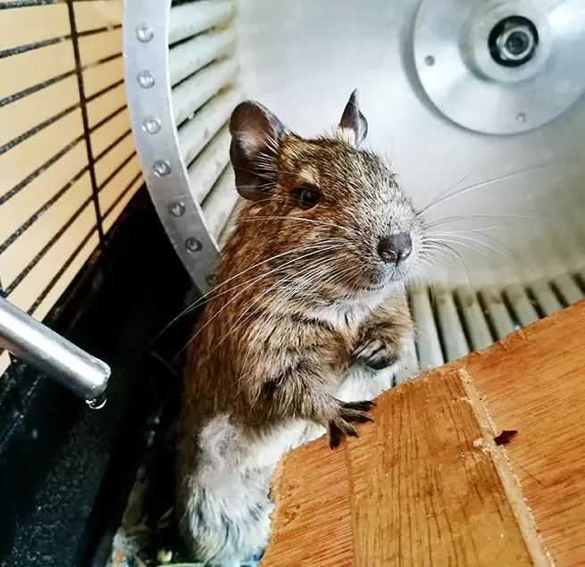 Why Homeowners & Businesses Trust Us Country Club Hills, IL