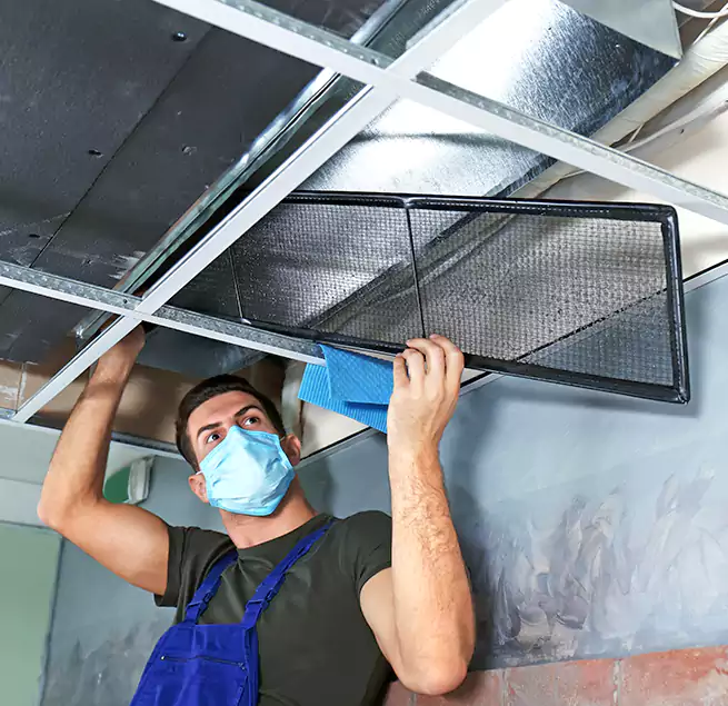 Why Homeowners Businesses Trust Us in Country Club Hills, IL