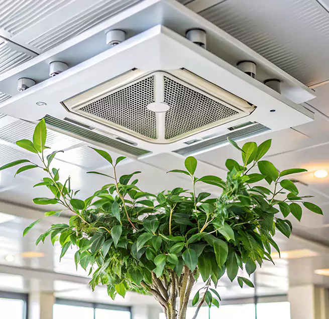 Why Homeowners & Businesses Trust Us in Country Club Hills, IL